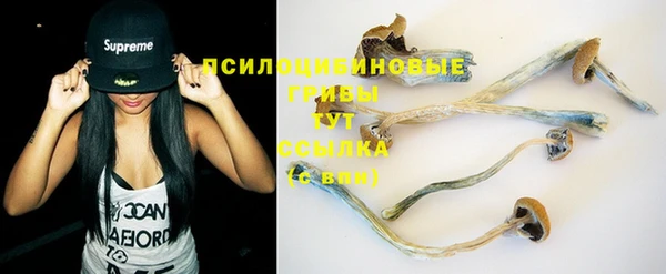 MESCALINE Покачи