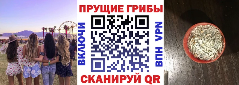 Псилоцибиновые грибы Psilocybe площадка наркотические препараты Яранск